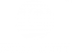 Interconsult Logo inline white HR